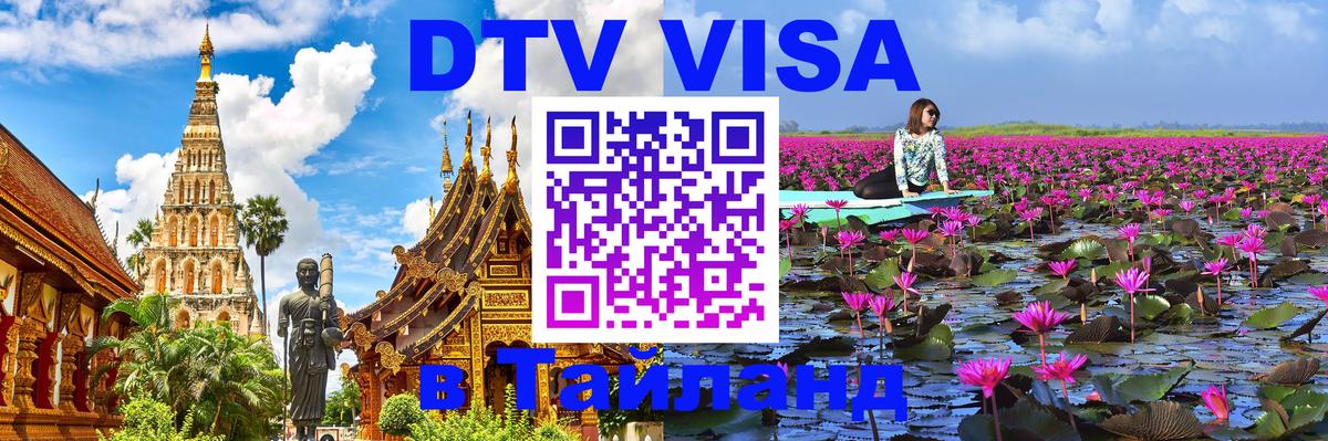 Оформление DTV визы под ключ: стоимость и тарифы, только загранпаспорт - 